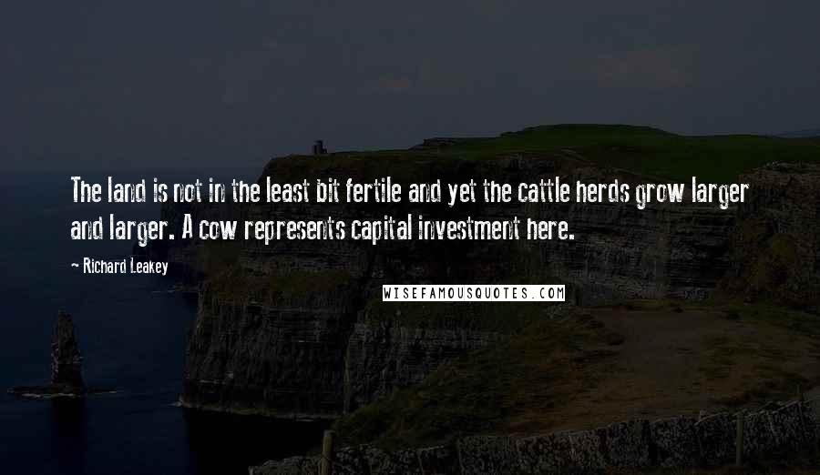 Richard Leakey Quotes: The land is not in the least bit fertile and yet the cattle herds grow larger and larger. A cow represents capital investment here.