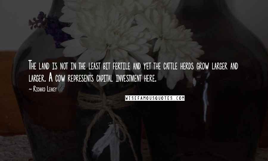 Richard Leakey Quotes: The land is not in the least bit fertile and yet the cattle herds grow larger and larger. A cow represents capital investment here.