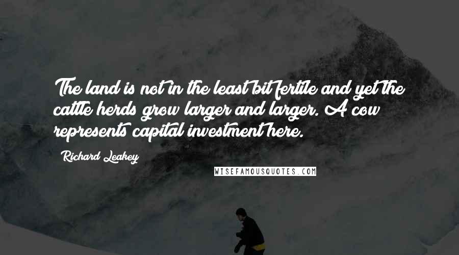 Richard Leakey Quotes: The land is not in the least bit fertile and yet the cattle herds grow larger and larger. A cow represents capital investment here.