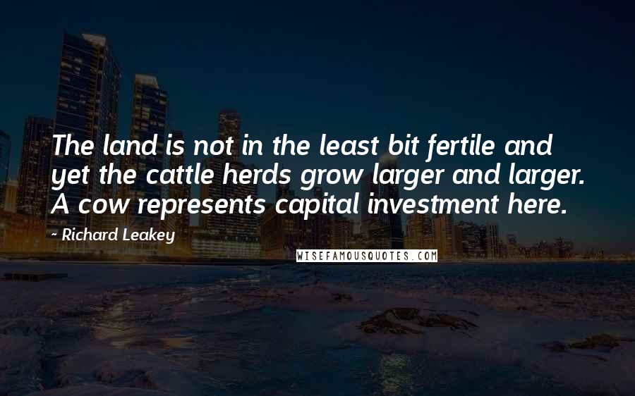 Richard Leakey Quotes: The land is not in the least bit fertile and yet the cattle herds grow larger and larger. A cow represents capital investment here.