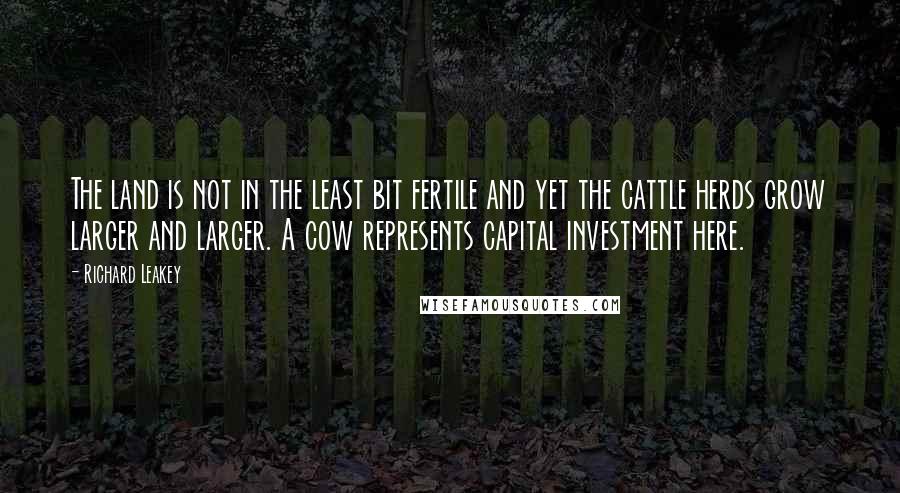 Richard Leakey Quotes: The land is not in the least bit fertile and yet the cattle herds grow larger and larger. A cow represents capital investment here.