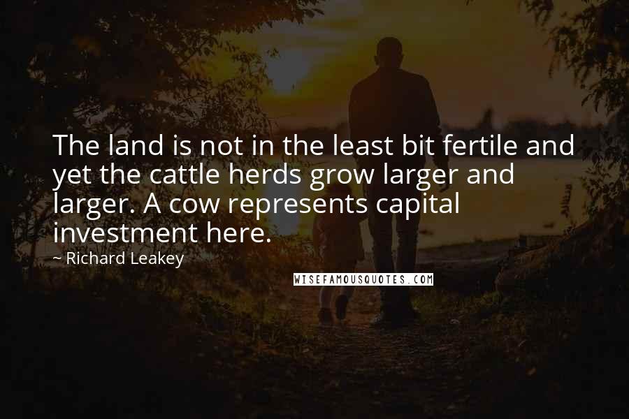 Richard Leakey Quotes: The land is not in the least bit fertile and yet the cattle herds grow larger and larger. A cow represents capital investment here.
