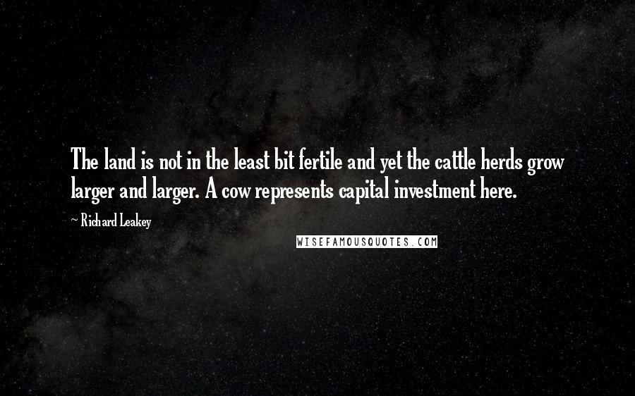 Richard Leakey Quotes: The land is not in the least bit fertile and yet the cattle herds grow larger and larger. A cow represents capital investment here.