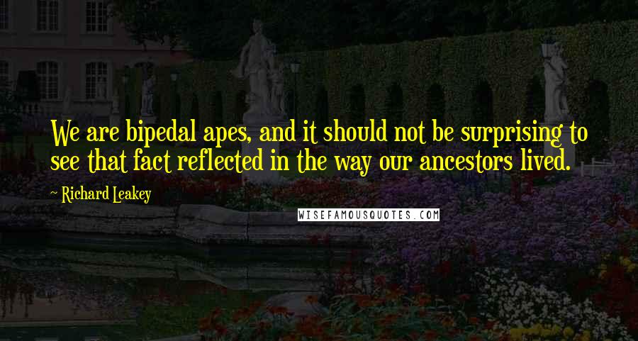 Richard Leakey Quotes: We are bipedal apes, and it should not be surprising to see that fact reflected in the way our ancestors lived.
