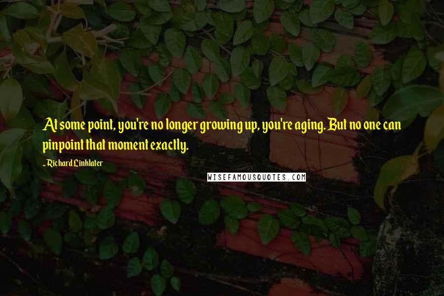 Richard Linklater Quotes: At some point, you're no longer growing up, you're aging. But no one can pinpoint that moment exactly.