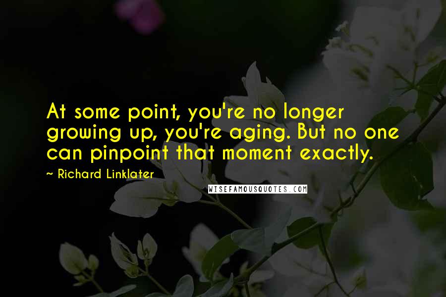 Richard Linklater Quotes: At some point, you're no longer growing up, you're aging. But no one can pinpoint that moment exactly.