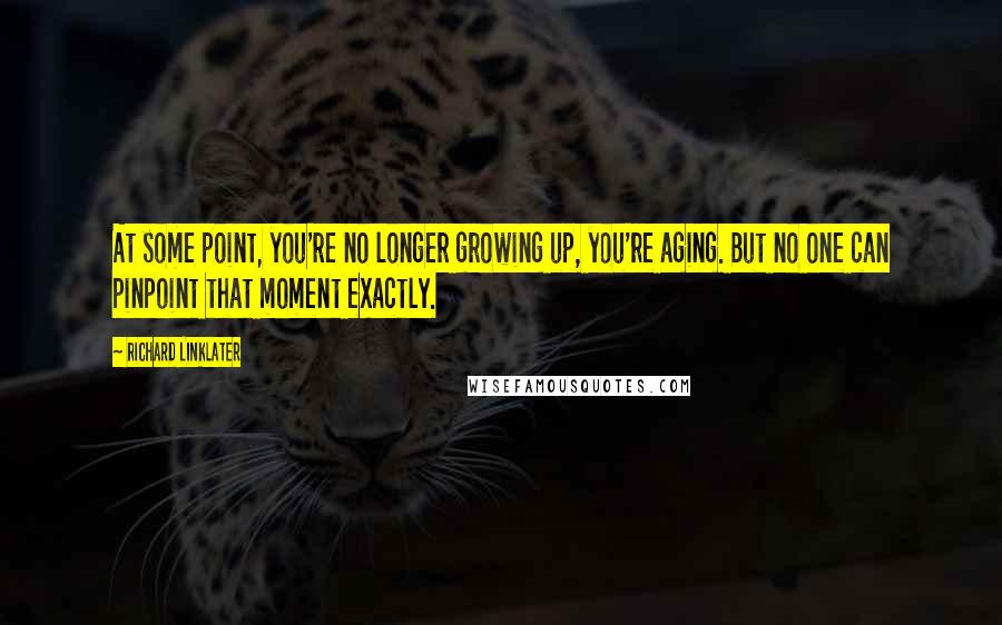 Richard Linklater Quotes: At some point, you're no longer growing up, you're aging. But no one can pinpoint that moment exactly.