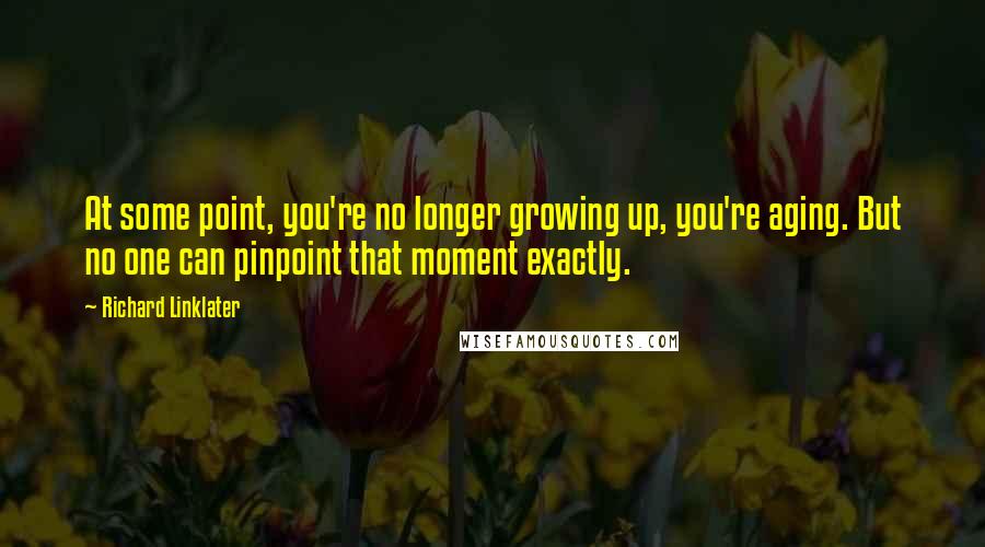 Richard Linklater Quotes: At some point, you're no longer growing up, you're aging. But no one can pinpoint that moment exactly.