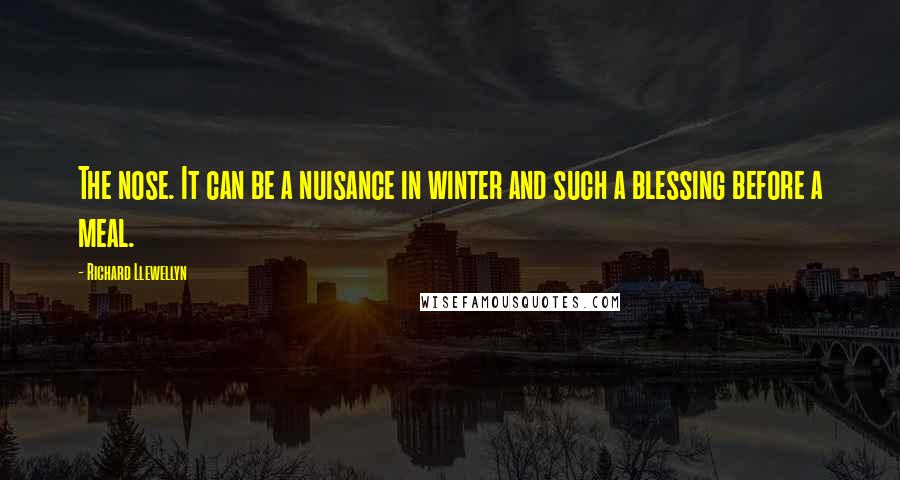 Richard Llewellyn Quotes: The nose. It can be a nuisance in winter and such a blessing before a meal.