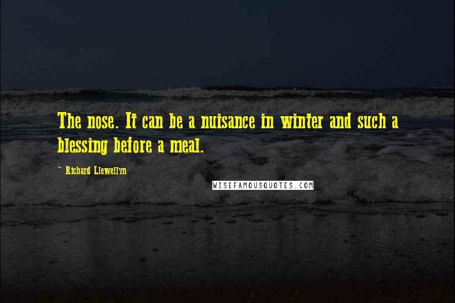 Richard Llewellyn Quotes: The nose. It can be a nuisance in winter and such a blessing before a meal.