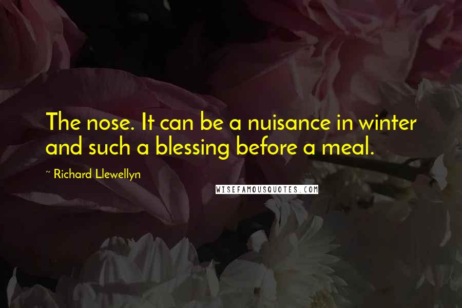 Richard Llewellyn Quotes: The nose. It can be a nuisance in winter and such a blessing before a meal.