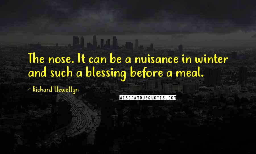 Richard Llewellyn Quotes: The nose. It can be a nuisance in winter and such a blessing before a meal.