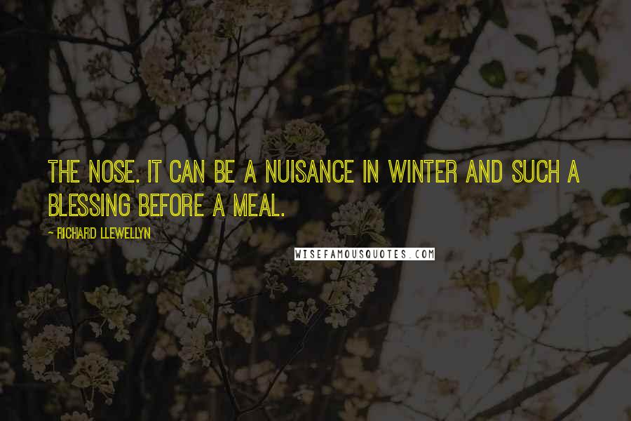 Richard Llewellyn Quotes: The nose. It can be a nuisance in winter and such a blessing before a meal.