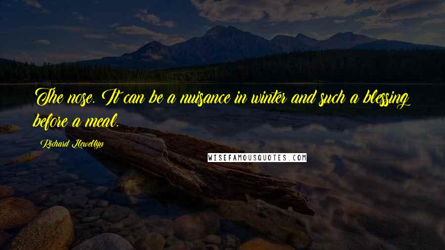 Richard Llewellyn Quotes: The nose. It can be a nuisance in winter and such a blessing before a meal.