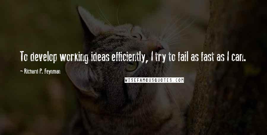 Richard P. Feynman Quotes: To develop working ideas efficiently, I try to fail as fast as I can.