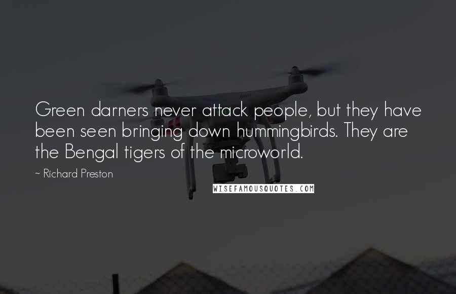 Richard Preston Quotes: Green darners never attack people, but they have been seen bringing down hummingbirds. They are the Bengal tigers of the microworld.