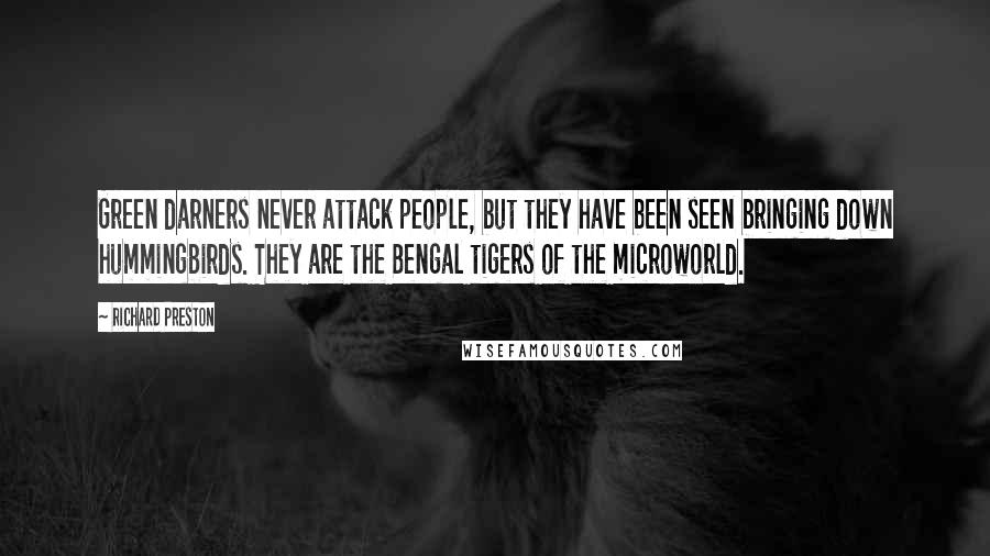 Richard Preston Quotes: Green darners never attack people, but they have been seen bringing down hummingbirds. They are the Bengal tigers of the microworld.