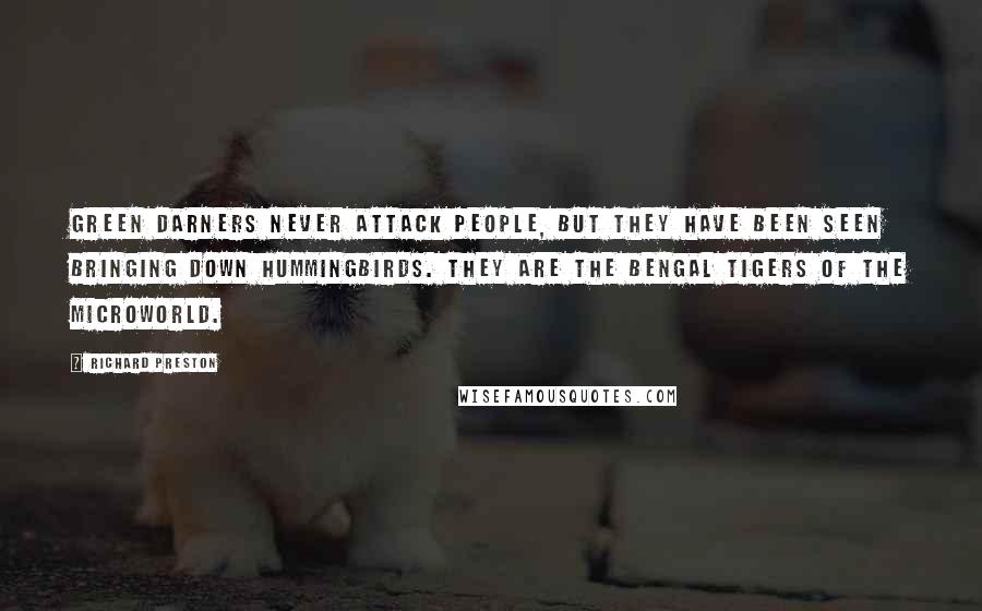 Richard Preston Quotes: Green darners never attack people, but they have been seen bringing down hummingbirds. They are the Bengal tigers of the microworld.