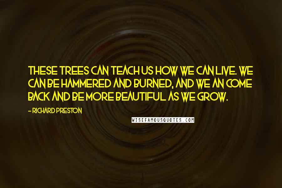 Richard Preston Quotes: These trees can teach us how we can live. We can be hammered and burned, and we an come back and be more beautiful as we grow.