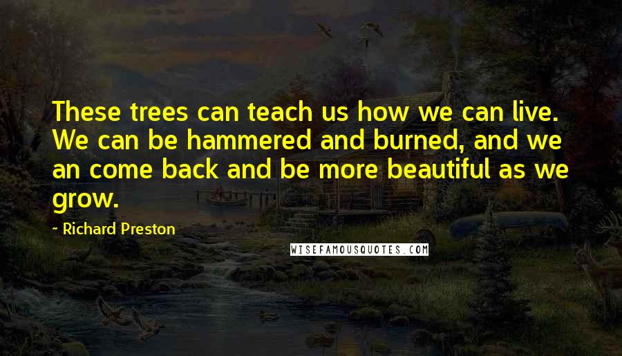 Richard Preston Quotes: These trees can teach us how we can live. We can be hammered and burned, and we an come back and be more beautiful as we grow.