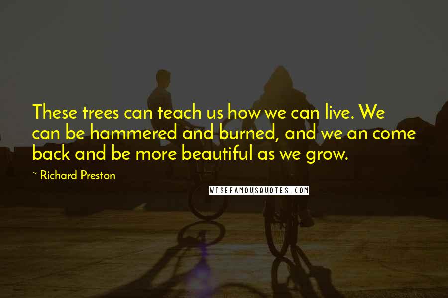 Richard Preston Quotes: These trees can teach us how we can live. We can be hammered and burned, and we an come back and be more beautiful as we grow.