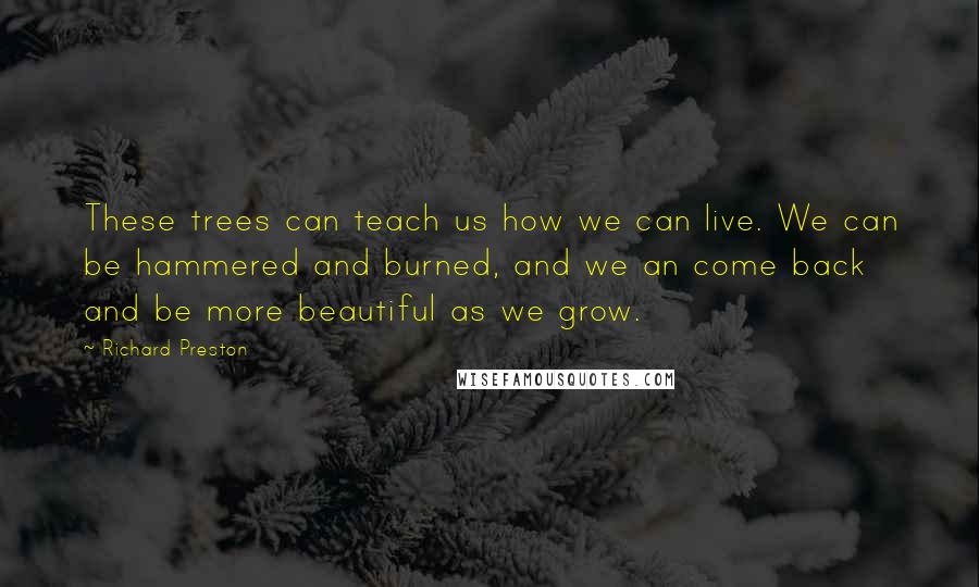 Richard Preston Quotes: These trees can teach us how we can live. We can be hammered and burned, and we an come back and be more beautiful as we grow.