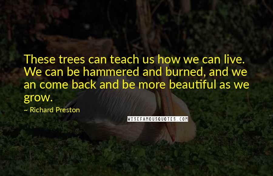 Richard Preston Quotes: These trees can teach us how we can live. We can be hammered and burned, and we an come back and be more beautiful as we grow.