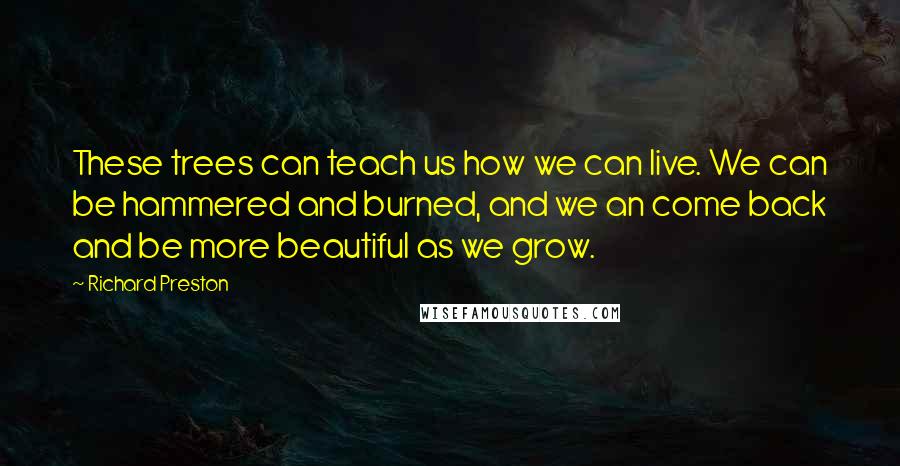 Richard Preston Quotes: These trees can teach us how we can live. We can be hammered and burned, and we an come back and be more beautiful as we grow.