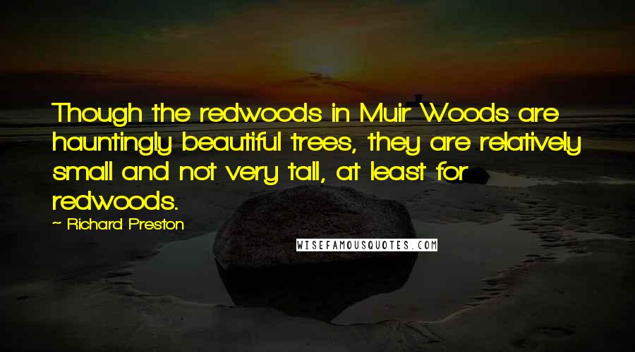 Richard Preston Quotes: Though the redwoods in Muir Woods are hauntingly beautiful trees, they are relatively small and not very tall, at least for redwoods.
