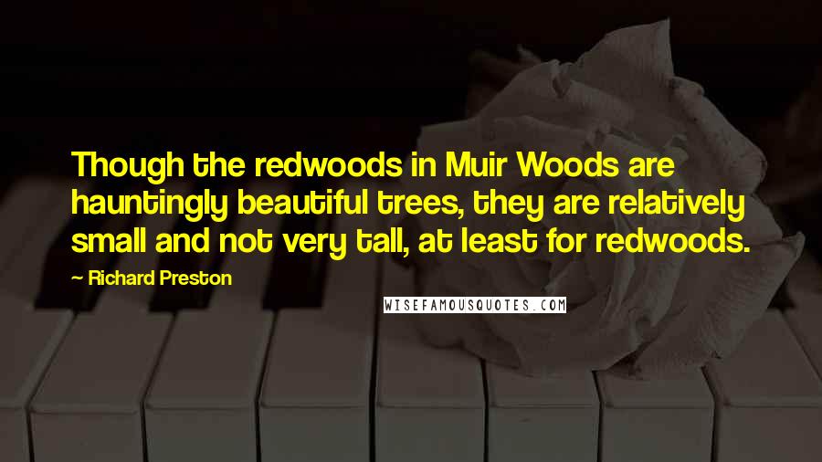 Richard Preston Quotes: Though the redwoods in Muir Woods are hauntingly beautiful trees, they are relatively small and not very tall, at least for redwoods.