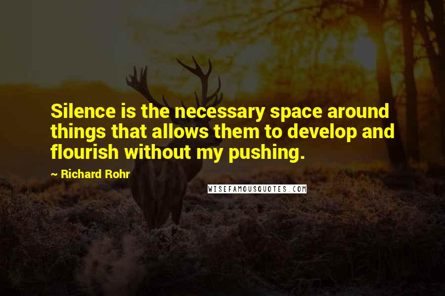 Richard Rohr Quotes: Silence is the necessary space around things that allows them to develop and flourish without my pushing.