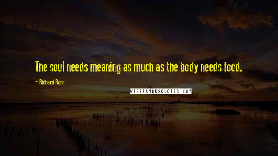 Richard Rohr Quotes: The soul needs meaning as much as the body needs food.