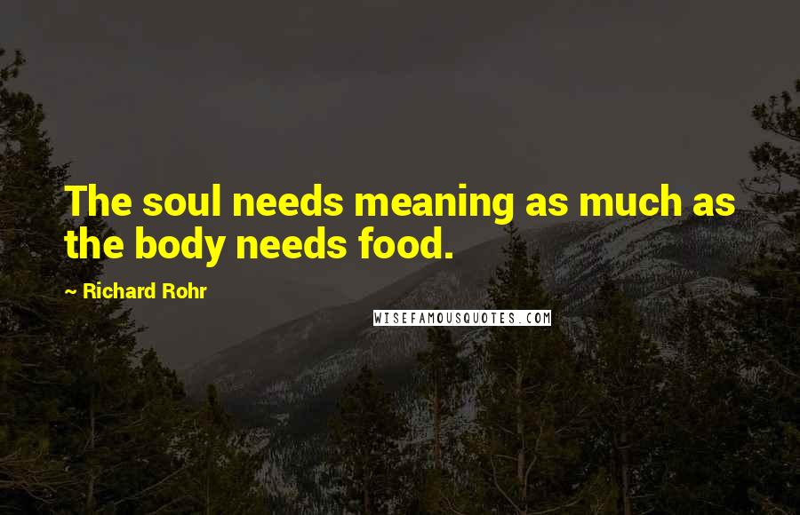 Richard Rohr Quotes: The soul needs meaning as much as the body needs food.