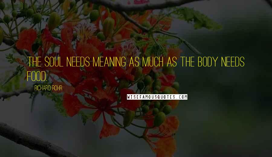 Richard Rohr Quotes: The soul needs meaning as much as the body needs food.