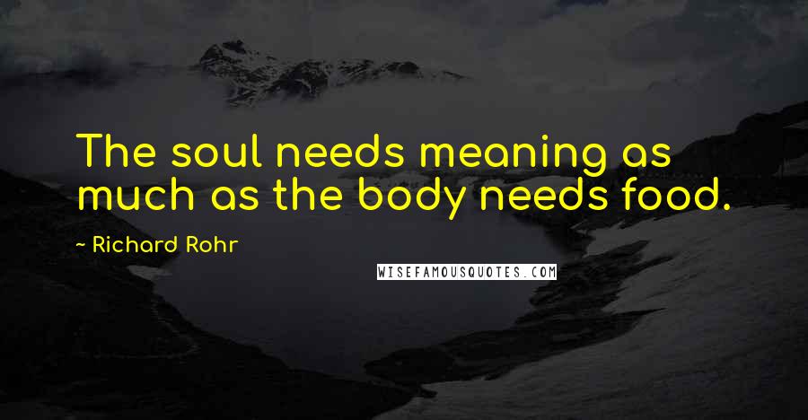 Richard Rohr Quotes: The soul needs meaning as much as the body needs food.