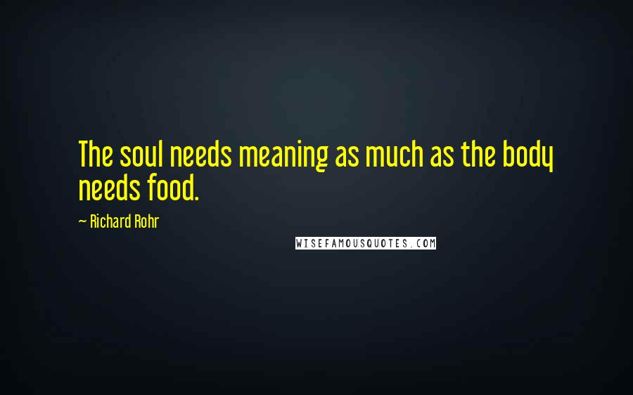 Richard Rohr Quotes: The soul needs meaning as much as the body needs food.
