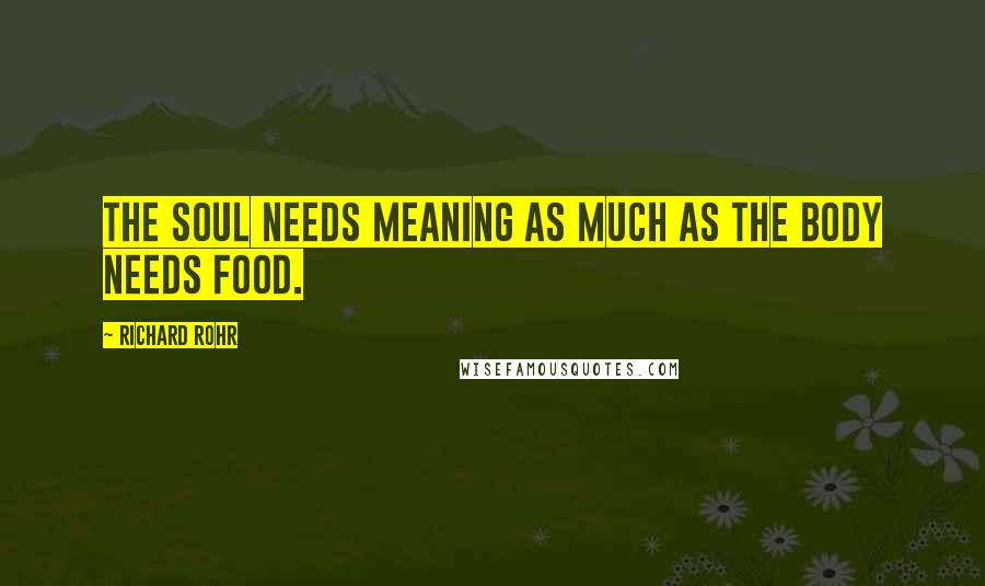 Richard Rohr Quotes: The soul needs meaning as much as the body needs food.
