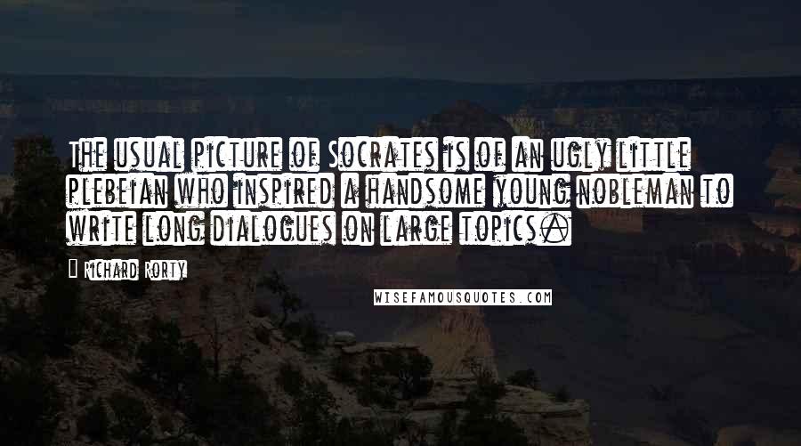 Richard Rorty Quotes: The usual picture of Socrates is of an ugly little plebeian who inspired a handsome young nobleman to write long dialogues on large topics.