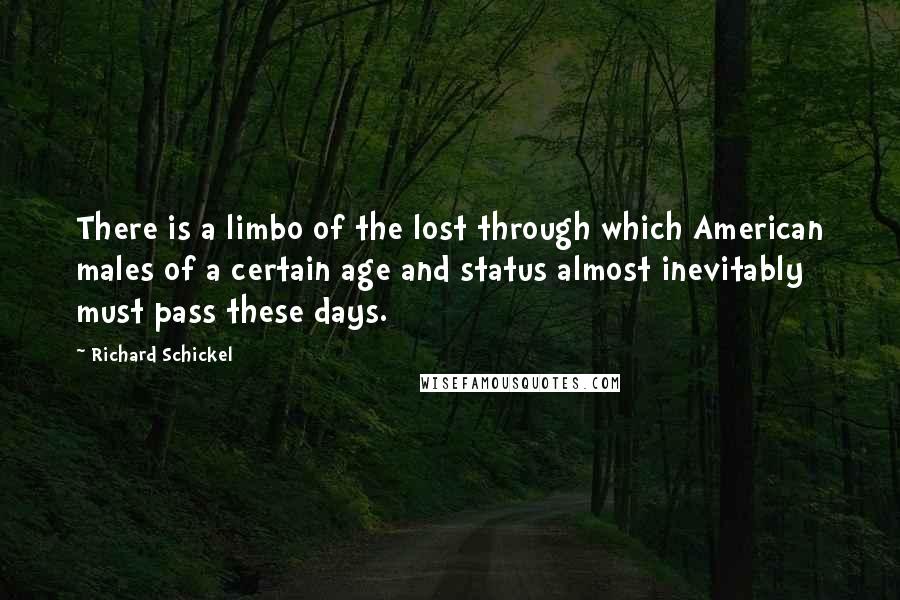 Richard Schickel Quotes: There is a limbo of the lost through which American males of a certain age and status almost inevitably must pass these days.