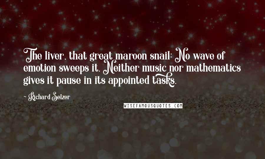 Richard Selzer Quotes: The liver, that great maroon snail: No wave of emotion sweeps it. Neither music nor mathematics gives it pause in its appointed tasks.