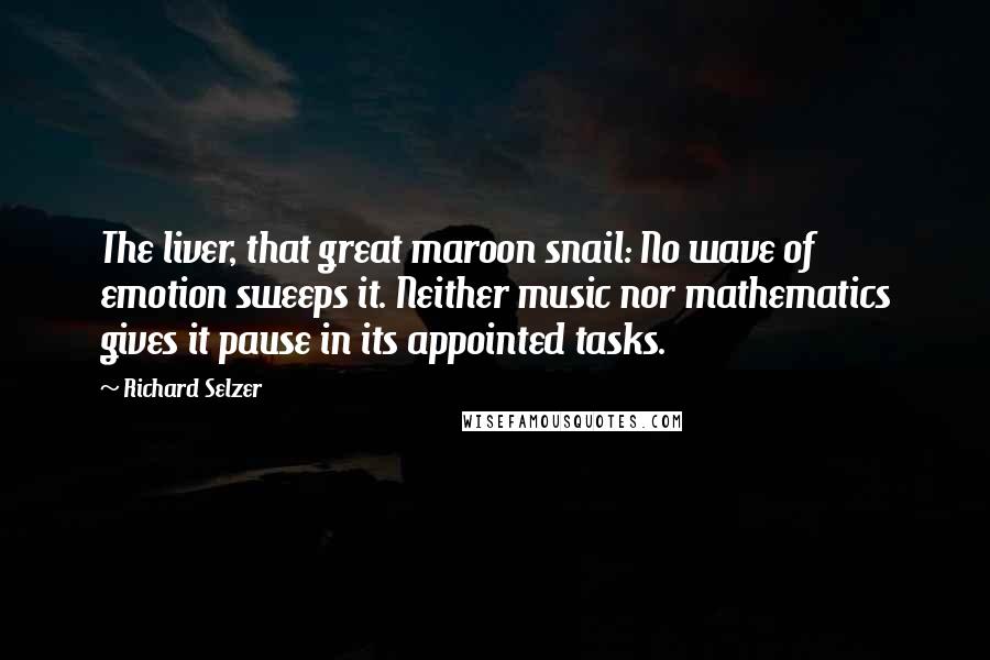 Richard Selzer Quotes: The liver, that great maroon snail: No wave of emotion sweeps it. Neither music nor mathematics gives it pause in its appointed tasks.