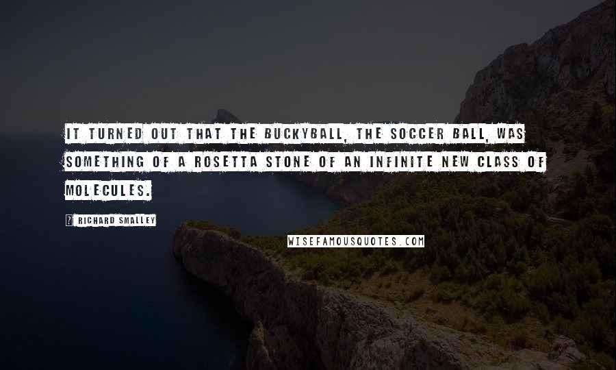 Richard Smalley Quotes: It turned out that the buckyball, the soccer ball, was something of a Rosetta stone of an infinite new class of molecules.