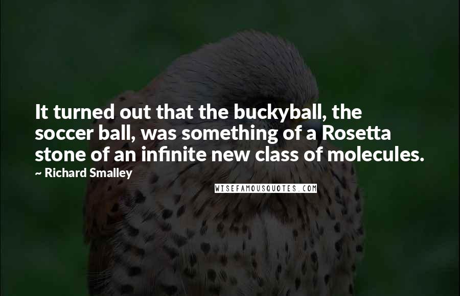 Richard Smalley Quotes: It turned out that the buckyball, the soccer ball, was something of a Rosetta stone of an infinite new class of molecules.