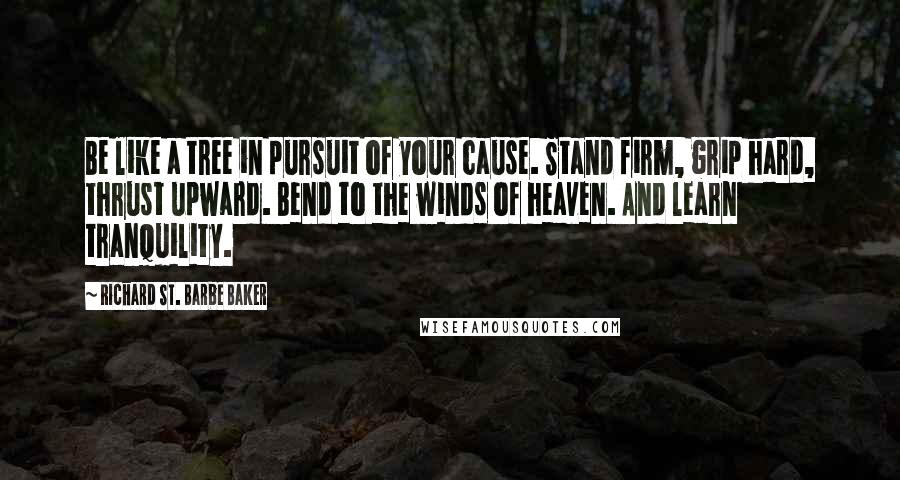 Richard St. Barbe Baker Quotes: Be like a tree in pursuit of your cause. Stand firm, grip hard, thrust upward. Bend to the winds of heaven. And learn tranquility.