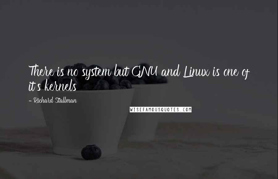 Richard Stallman Quotes: There is no system but GNU and Linux is one of it's kernels