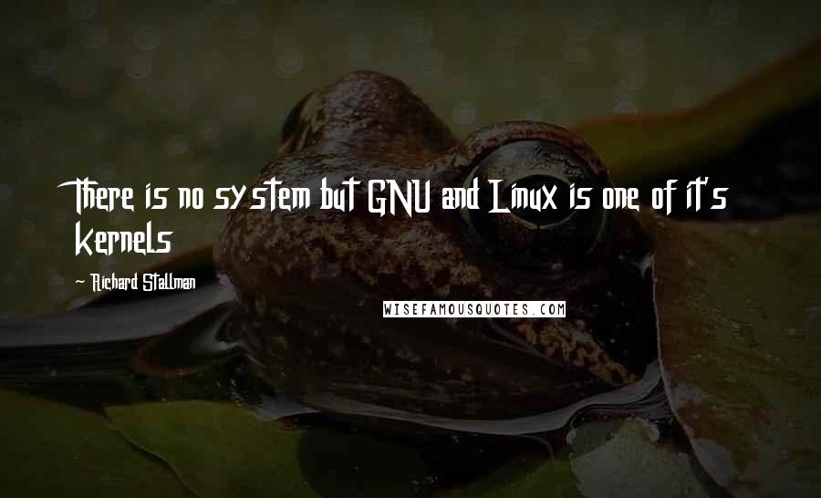 Richard Stallman Quotes: There is no system but GNU and Linux is one of it's kernels