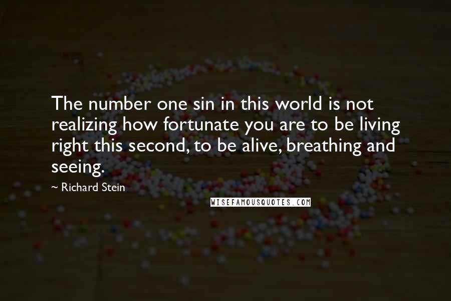 Richard Stein Quotes: The number one sin in this world is not realizing how fortunate you are to be living right this second, to be alive, breathing and seeing.