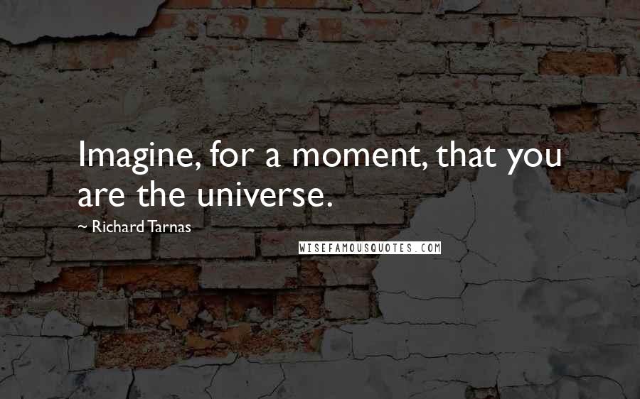 Richard Tarnas Quotes: Imagine, for a moment, that you are the universe.
