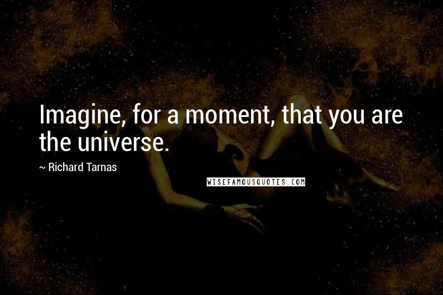 Richard Tarnas Quotes: Imagine, for a moment, that you are the universe.