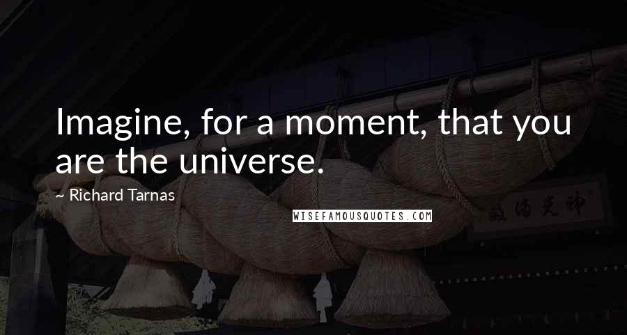 Richard Tarnas Quotes: Imagine, for a moment, that you are the universe.